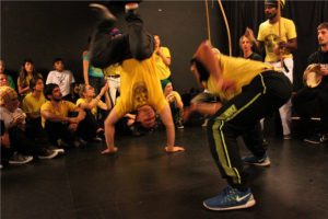 Stage Capoeira Lille 2015